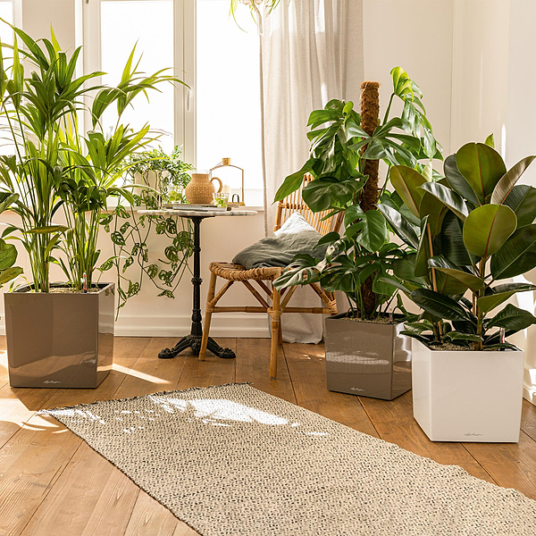 Фото - Вазон Lechuza CUBE 50/50/50 Premium Білий 16560