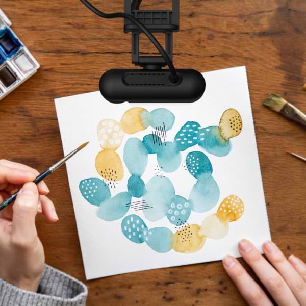 Фото - Веб-камера для компьютера J5create JVU250-N