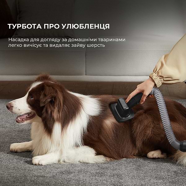 Фото - Пилосос ручний для дому Dreame Z30 (VZV17A)