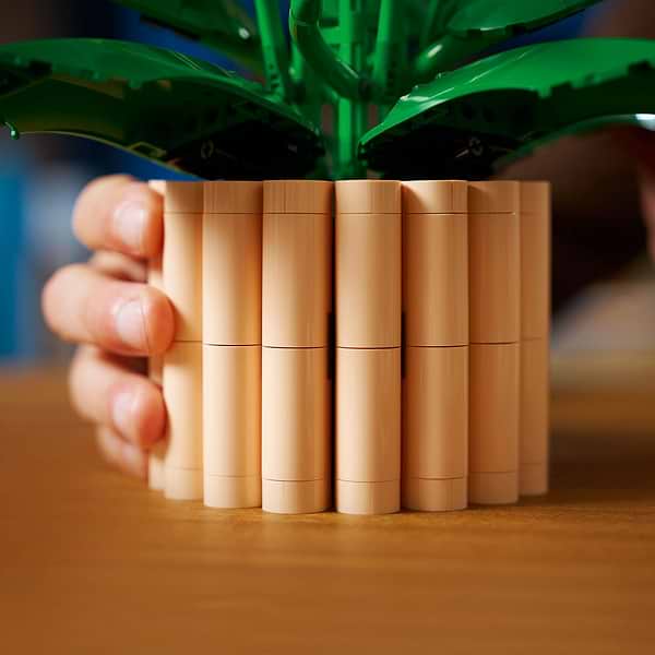 Фото - Конструктор LEGO Botanicals Спатифиллум (11504)