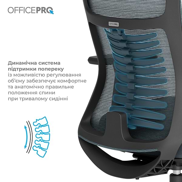 Фото - Крісло офісне OfficePro Balance (OC550-B-DG-DG) Black/Dark Gray