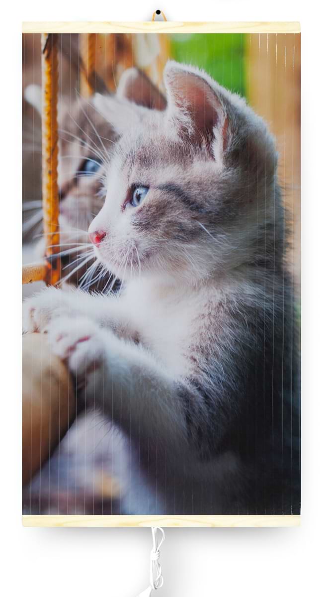 Настенный обогреватель Trio Котята (400 вт, 1 х 0,57 м) - Фото 1