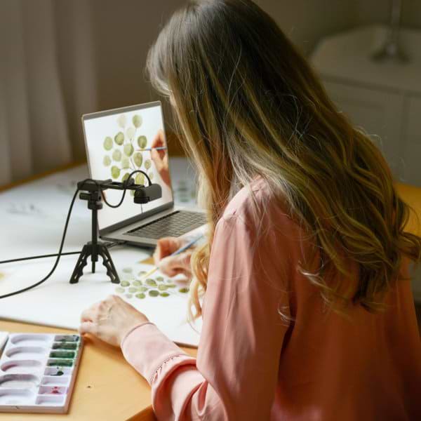 Фото - Веб-камера для компьютера J5create JVU250-N