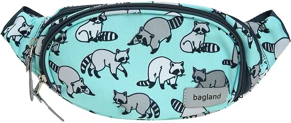 Фото - Поясная сумка Bagland Bella 2 л сублимация 967
