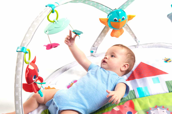 Фото - Развивающий коврик Tiny Love "Веселая Поляна" (1205006830)