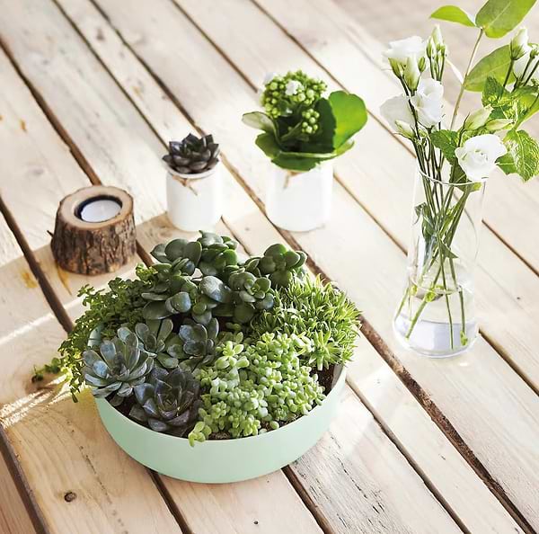 Фото - Салатник Luminarc Diwali Paradise Green 22 см (V5846)