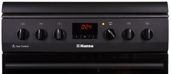 Фото - Плита газова Hansa FCMS682090