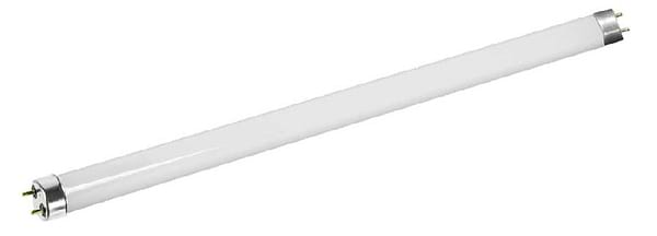 Фото - Уничтожитель насекомых Insect T8 G13 15Вт (000057353)