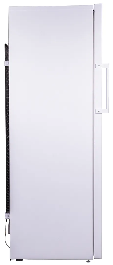 Фото - Морозильная камера Beko RFNK290T21W