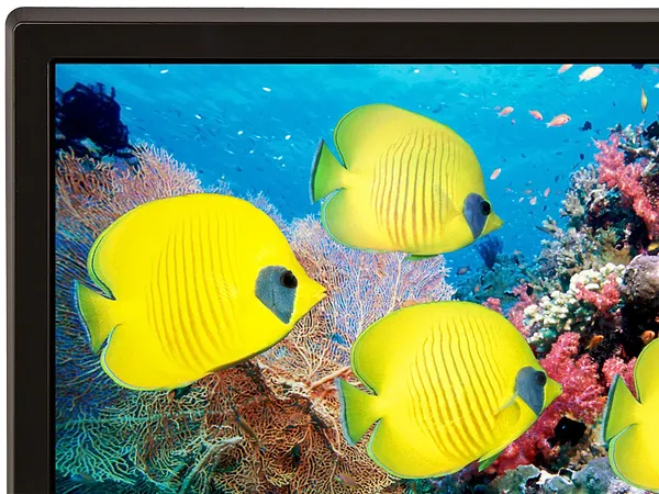 Фото - Телевизор LG 43LK5910PLC