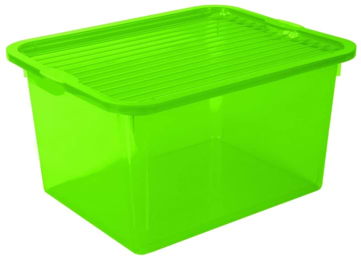 Короб для хранения BRANQ C-BOX 13л в ассортименте (1002)