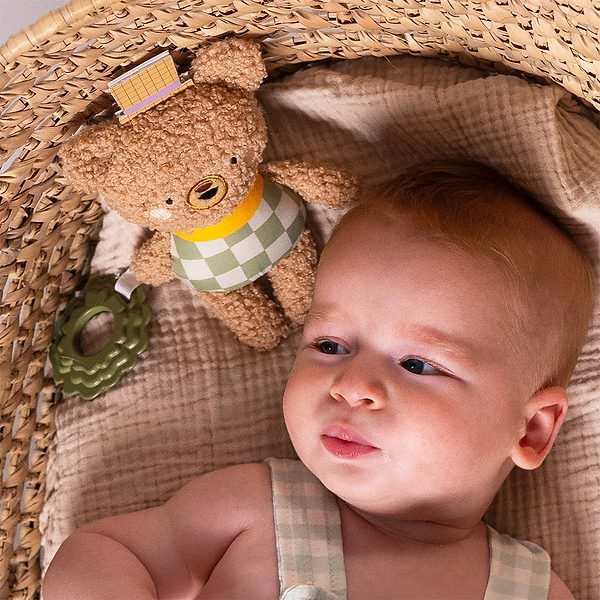 Фото - Подвеска Taf Toys Цветущая фантазия – МИШКА БРЕНДОН (13575)