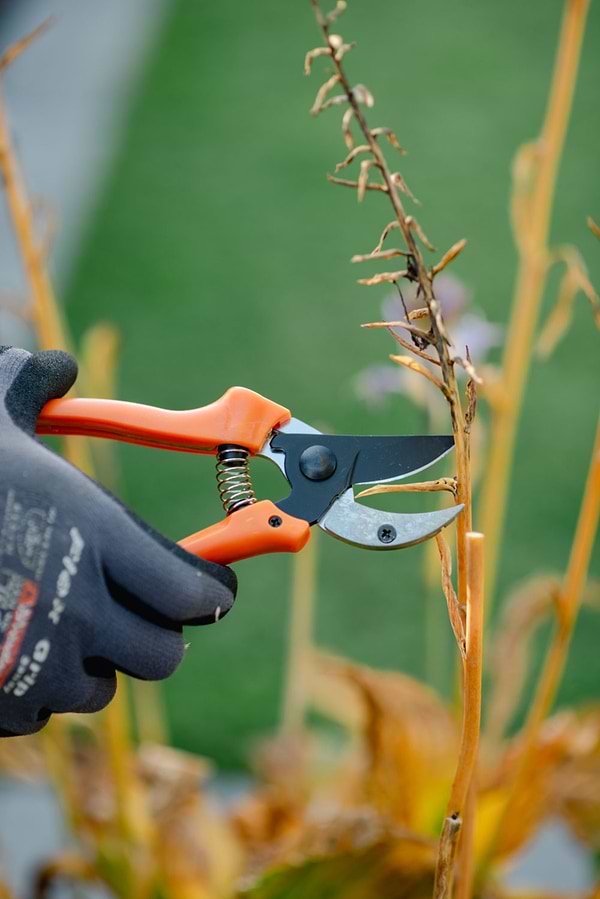 Фото - Секатор BRADAS V-SERIES (KT-V1030K)