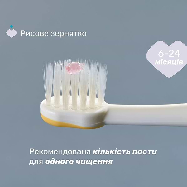 Фото - Зубна щітка мануальна дитяча Chicco 6-36 міс. 2 шт. (дівчинка) (12082.00)