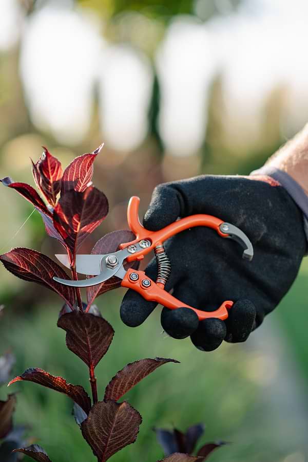 Фото - Секатор BRADAS V-SERIES-D (KT-V1011)