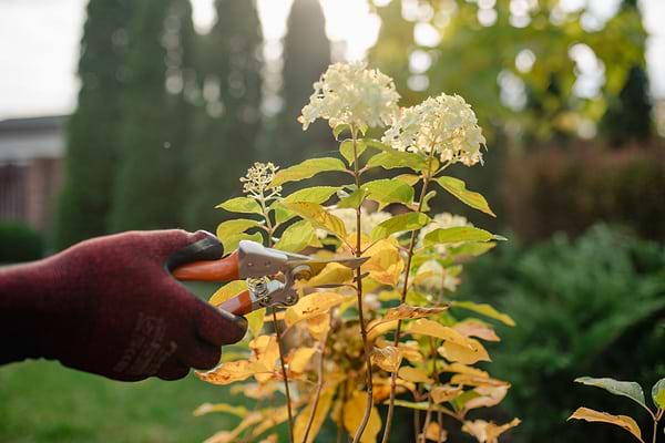 Фото - Секатор BRADAS V-SERIES SK5 (KT-V1023)