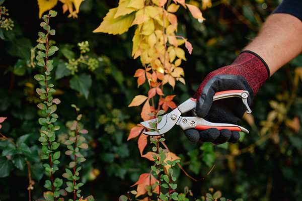 Фото - Секатор BRADAS V-Series зріз до 23 мм (KT-V5)