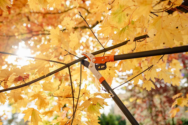 Фото - Веткорез BRADAS с редуктором V-SERIES с наковальней (KT-V1230)