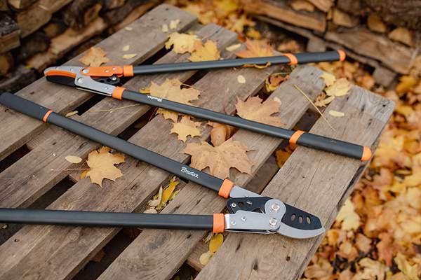 Фото - Веткорез BRADAS с редуктором V-SERIES с наковальней (KT-V1230)