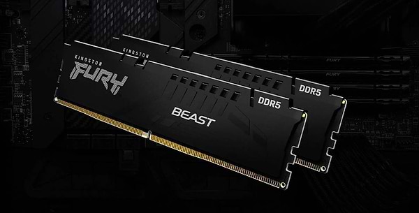 Фото - Память DDR Kingston FURY Beast Black DDR5-6000 32GB (2x16GB) (KF560C30BBEK2-32)