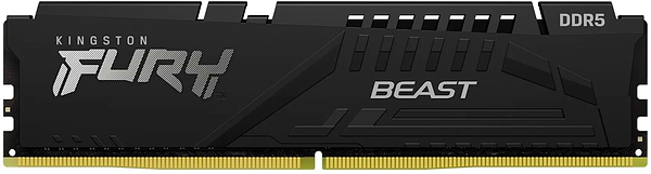 Фото - Память DDR Kingston FURY Beast Black DDR5-6000 16GB CL30-36-36 1.4V EXPO (KF560C30BBE-16)