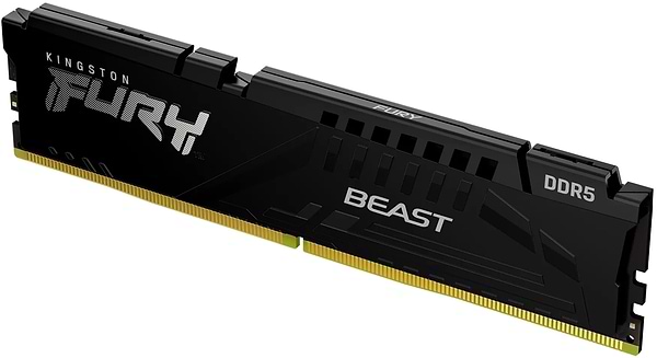 Фото - Память DDR Kingston FURY Beast Black DDR5-6000 16GB CL30-36-36 1.4V EXPO (KF560C30BBE-16)