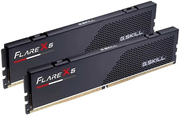 Фото - Память DDR G.Skill Flare X5 DDR5-6000 32GB (2x16GB) AMD EXPO CL30-36-36-96 1.35V (F5-6000J3036F16GX2-FX5)