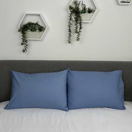 Наволочка ТЕП Комплект 50х50 см Блакитний (2-04790_34466)