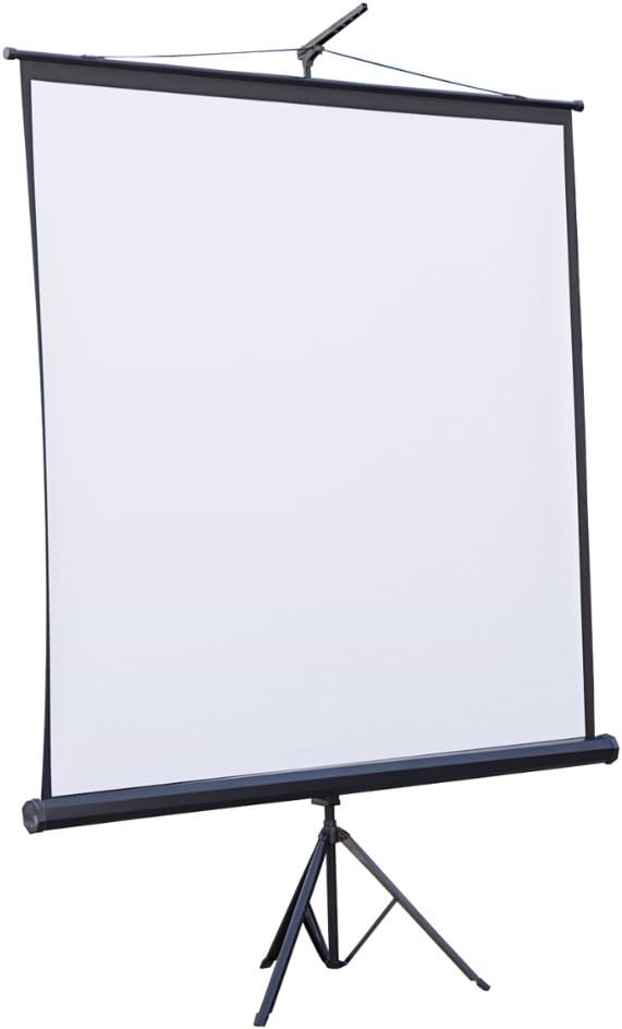 Екран ATRIA TRM-NTSC-120D