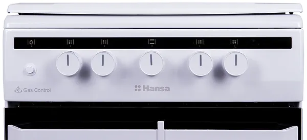 Фото - Плита газовая Hansa FCGW510550