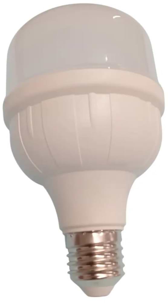 Фото - Світлодіодна лампочка Grunhelm Long-Life R2.0 LED - T100-30W-65K-E27