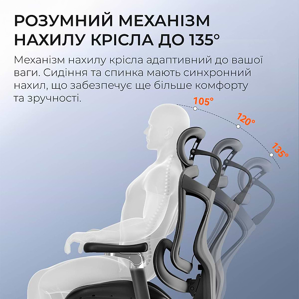 Фото - Кресло офисное Sihoo DORO C300 Pro Mesh Black with footrest (DORO-C300-PRO-M101-JT)