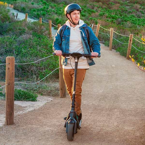Фото - Електросамокат Segway Ninebot P65E Black