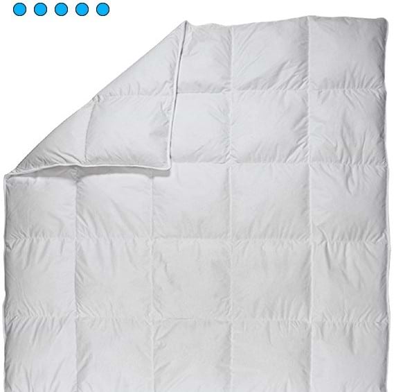 Фото - Ковдра зимова двоспальна євро Billerbeck пухова Магнолія К2 200х220 (0590-02/03)