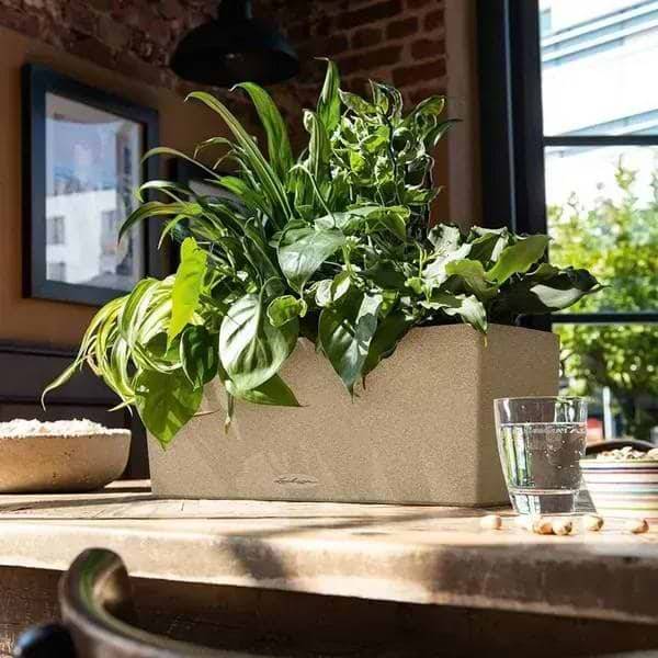 Фото - Вазон Lechuza Stone 50 пісочно-біжевий (15651)