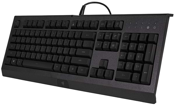 Фото - Клавиатура проводная игровая Razer Cynosa Lite RGB Chroma (RZ03-02741500-R3R1)