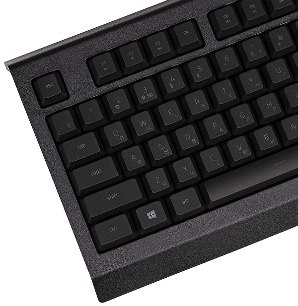 Фото - Клавиатура проводная игровая Razer Cynosa Lite RGB Chroma (RZ03-02741500-R3R1)