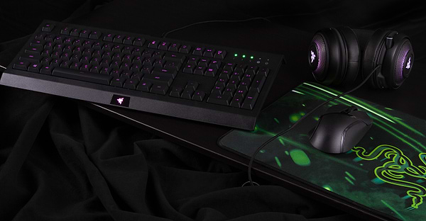 Фото - Клавиатура проводная игровая Razer Cynosa Lite RGB Chroma (RZ03-02741500-R3R1)