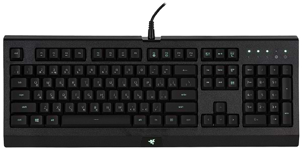 Фото - Клавиатура проводная игровая Razer Cynosa Lite RGB Chroma (RZ03-02741500-R3R1)
