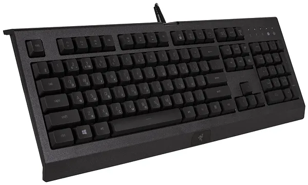 Фото - Клавиатура проводная игровая Razer Cynosa Lite RGB Chroma (RZ03-02741500-R3R1)