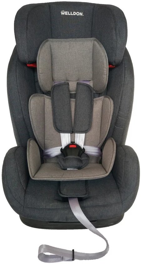 Фото - Автокресло Welldon Encore Graphite (BS07-S95-001)