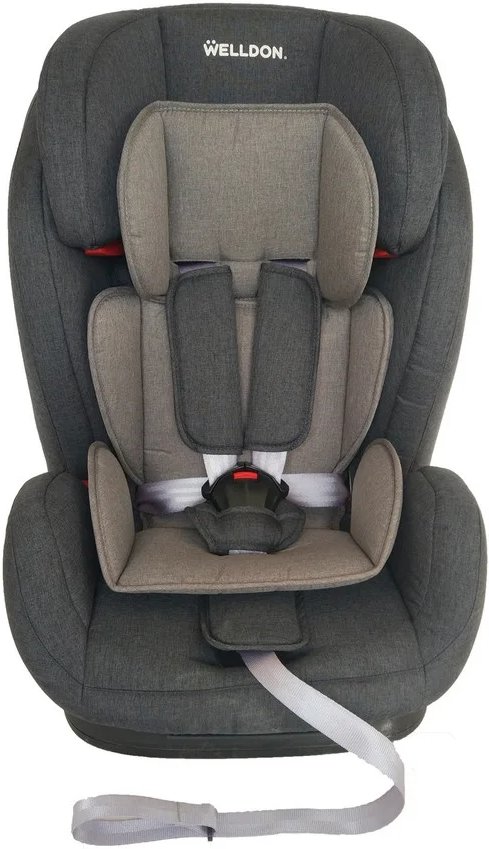 Фото - Автокресло Welldon Encore Graphite (BS07-S95-001)