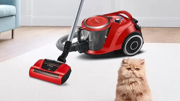 Фото - Уцінка - Пилосос для сухого прибирання без мішка Bosch BGS41PET1 #