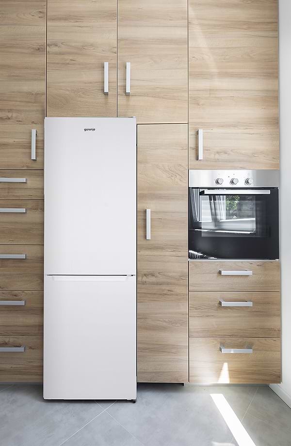 Фото - Холодильник Gorenje RK 6191 EW4
