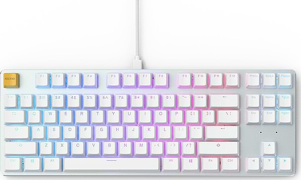 Фото - Клавіатура дротова Glorious GMMK TKL White (GLO-GMMK-TKL-BRN-W)