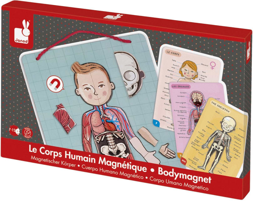 Набір для дослідження Janod Тіло Людини (J05491)