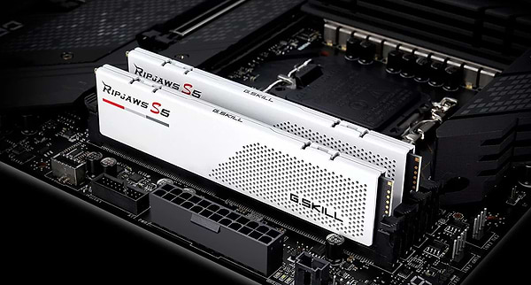 Фото - Память DDR G.Skill Ripjaws S5 White DDR5-6000 32GB (2x16GB) (F5-6000J3648D16GX2-RS5W)