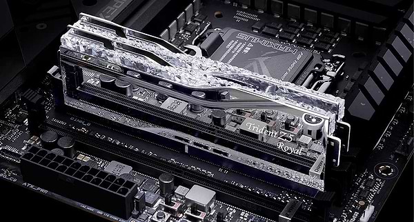 Фото - Память DDR G.Skill Trident Z5 Royal DDR5-6400 32GB (2x16GB) (F5-6400J3039G16GX2-TR5S)