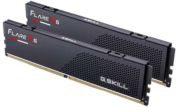Фото - Память DDR G.Skill Flare X5 black DDR5-6400 32GB (2x16GB) (F5-6400J3240G16GX2-FX5)