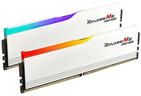 Фото - Память DDR G.Skill Ripjaws M5 Neo RGB White DDR5-6000 64GB (2x32GB) (F5-6000J3040G32GX2-RM5NRW)